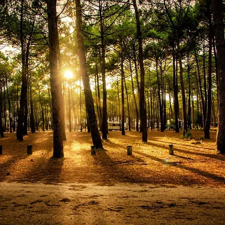 Lejlighed Foch22 Curistes - Conciergerieland