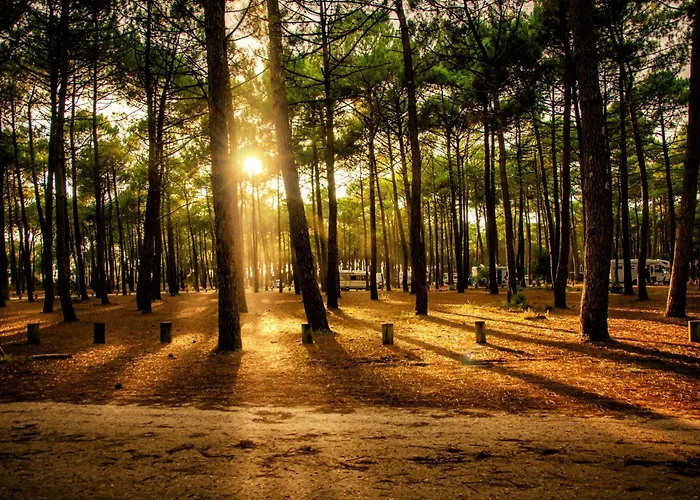 Lejlighed Foch22 Curistes - Conciergerieland